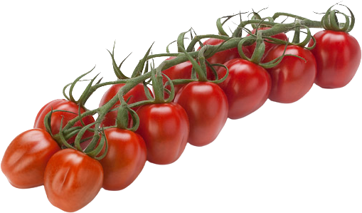 Cherry plum vine tomatoes