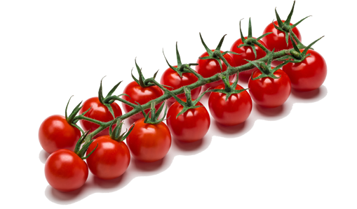 Mini cherry vine tomatoes