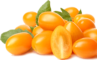 Orange candy tomatoes