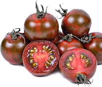 Brown Candy tomateos